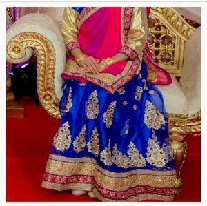 Lehenga Choli/Bridal/Bollywood/Indian/Lehenga